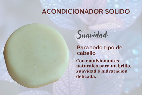 Acondicionador solido 80g